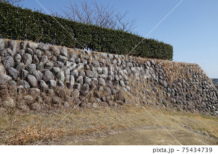 静岡　横須賀城　川原石の石垣 75434739