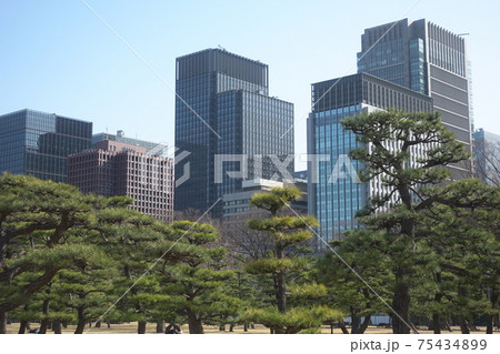 ビル　丸の内 75434899