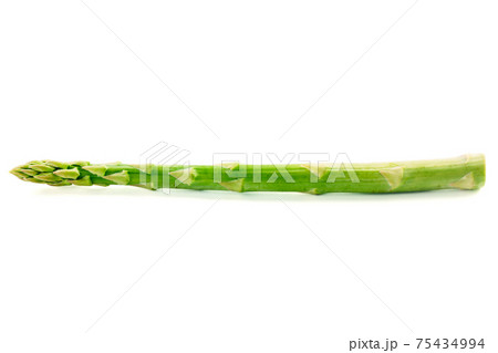 Raw asparagus isolated on white. High quality photo 75434994
