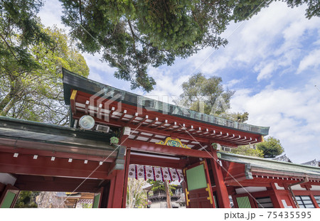 大國魂神社 神社仏閣 中雀門 拝殿 歴史建造物 大國魂神社 神社仏閣 中雀門 拝殿 歴史建造物 75435595