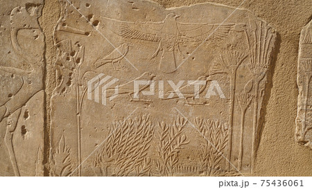 The Botanical Chamber, the Temple of Karnak hieroglyphic of exotic plants and birds on wall The Botanical Chamber, the Temple of Karnak hieroglyphic of exotic plants and birds on wall 75436061