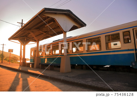 【愛媛県】夕日を浴びた下灘駅と列車 【愛媛県】夕日を浴びた下灘駅と列車 75436128