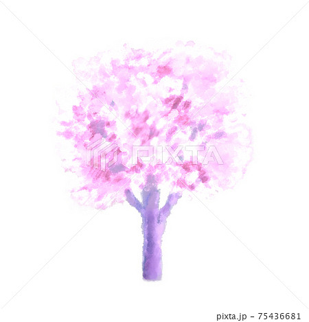 桜の木 水彩風 イラストのイラスト素材