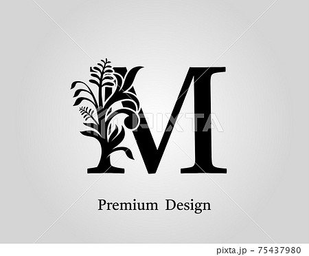 Elegant Letter M Floral Design Vintage Stock Illustration