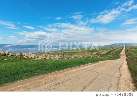 beautiful road in the Golan Heights 75438009