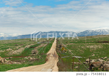 beautiful road in the Golan Heights 75438011