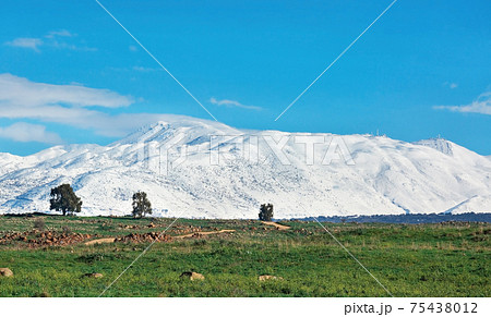 beautiful snow-capped Mount Hermon in winter 75438012