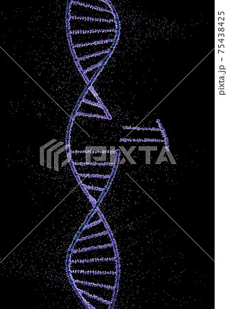DNA Molecule Helix Genetic Code 75438425
