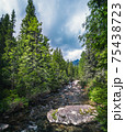Beautiful calm summer nature landscape in Slovakia, Slovak small river with creeks, waterfalls 75438723
