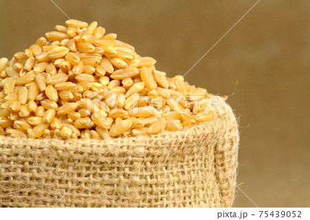 Wheat with bag 75439052