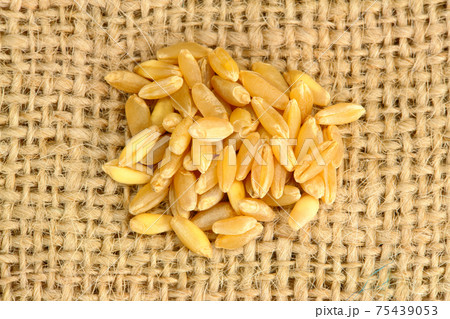 Smal amount of wheat 75439053