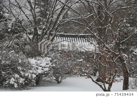 雪景色 積雪 冬 75439434