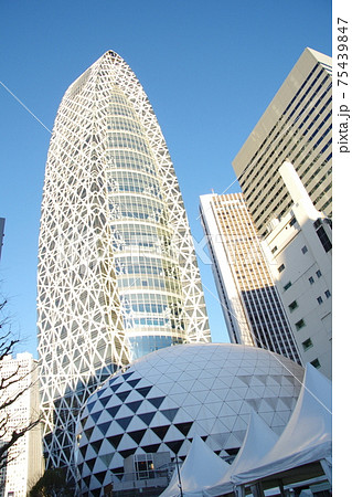 新宿西口高層ビル コクーンタワー6 新宿西口高層ビル コクーンタワー6 75439847