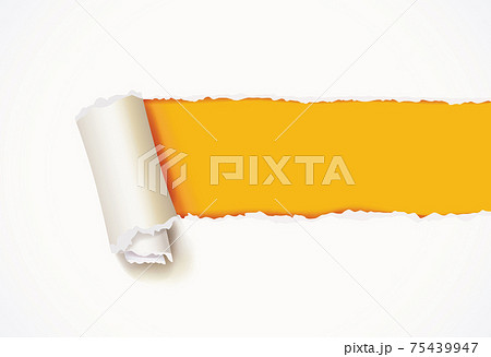 Curl of white paper. Torn paper Curl of white paper. Torn paper 75439947