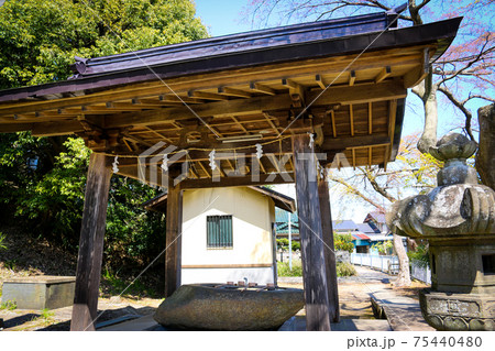 神社の手水舎 75440480