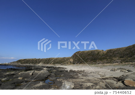 城ヶ島の海岸線 城ヶ島の海岸線 75440652