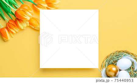 Easter set. Golden, white colour egg in basket with spring tulips, feathers on pastel yellow background in Happy Easter decoration. Traditional design with copy space. 75440953