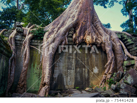 front of Takeo Temple 75441428