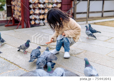 鳩に餌を与える子供 女の子の写真素材 [75441641] - PIXTA