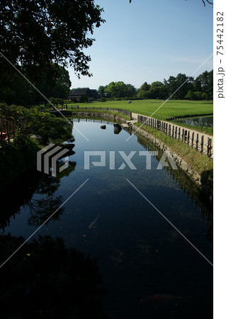 四季の散歩　春　後楽園 75442182