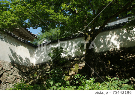 四季の散歩 春 後楽園 四季の散歩 春 後楽園 75442196