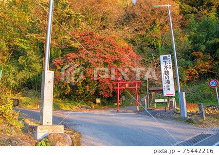 赤城町　棚下不動の滝　入口　秋景色　 75442216
