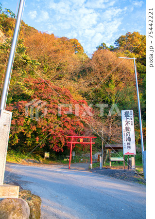 赤城町 棚下不動の滝 入口 秋景色 赤城町 棚下不動の滝 入口 秋景色 75442221