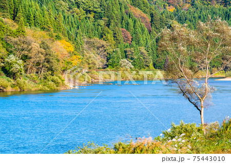 山形県 最上川 山形県 最上川 75443010