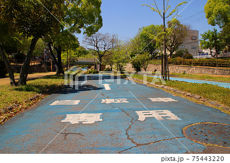 自転車専用・道路表示(大野川緑陰道路)/大阪府大阪市西淀川区姫島4丁目 自転車専用・道路表示(大野川緑陰道路)/大阪府大阪市西淀川区姫島4丁目 75443220