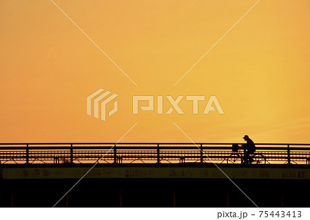 自転車通勤. 黄金色の空を背景に 道を急ぐ（ゴールデンアワー・シルエットイメージ） 75443413