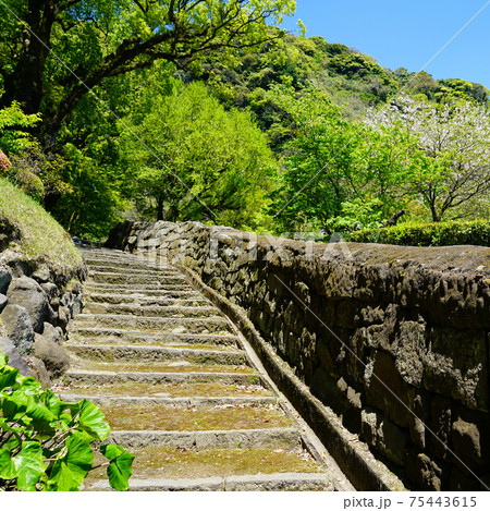 鹿児島県 仙巌園 桜島 鹿児島県 仙巌園 桜島 75443615