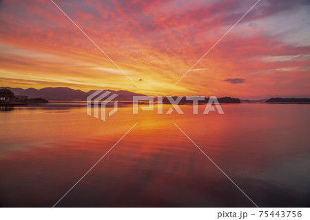 瀬戸対の朝凪の海に映り込む朝焼け 75443756