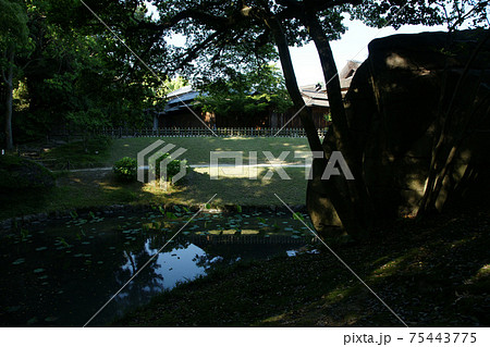 四季の散歩 春 後楽園 四季の散歩 春 後楽園 75443775