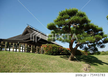 四季の散歩　春　後楽園 75443783