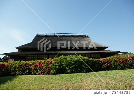 四季の散歩　春　後楽園 75443785