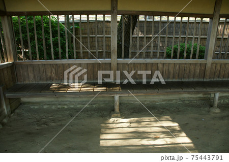 四季の散歩　春　後楽園 75443791