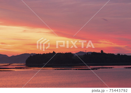 牡蠣筏並ぶ瀬戸内の海を染める朝焼け 75443792