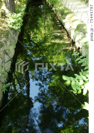 四季の散歩　春　後楽園 75443797