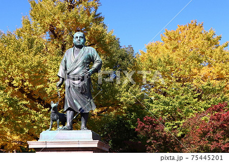 黄葉を背景に愛犬と佇む上野公園のシンボルである西郷隆盛像 75445201