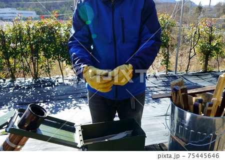 自作のロケットストーブで焚火 自作のロケットストーブで焚火 75445646