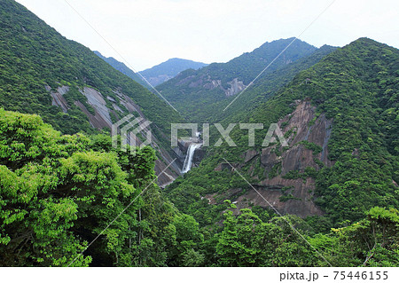 屋久島 千尋の滝 屋久島 千尋の滝 75446155