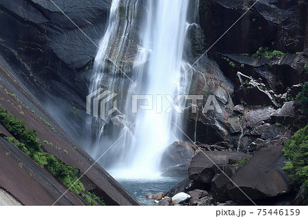 屋久島 千尋の滝 屋久島 千尋の滝 75446159