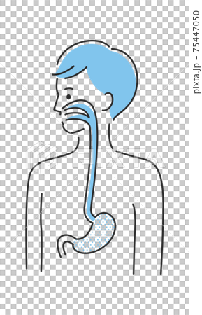 若い男性のイラスト 内臓の胃と食道に注目したイラスト のイラスト素材 若い男性のイラスト 内臓の胃と食道に注目したイラスト のイラスト素材