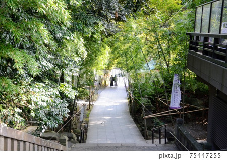 熱海 来宮神社 熱海 来宮神社 75447255