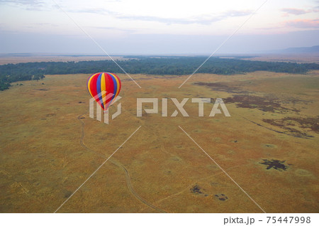 マサイマラ自然保護区のバルーンサファリ（ケニア） 75447998