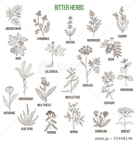 Bitter herbs collection Bitter herbs collection 75448146