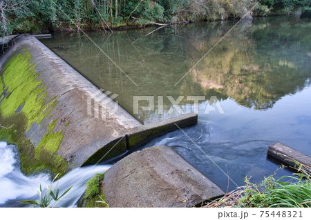 大川原峡　R3春 75448321