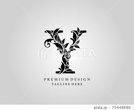 Classic Initial Y Letter Logo Design Elegant のイラスト素材