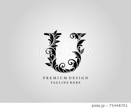 Classic Initial U Letter logo design, elegant floral ornate monogram design vector. 75448701