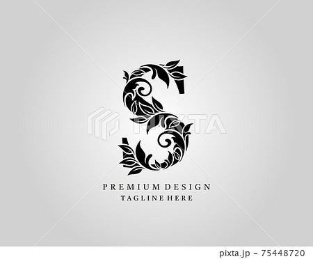 Classic Initial S Letter Logo Design Elegant のイラスト素材 Classic Initial S Letter Logo Design Elegant のイラスト素材